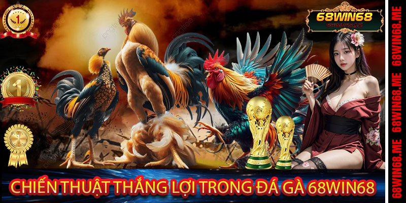 Chiến Thuật Thắng Lợi Trong Đá Gà 68Win68