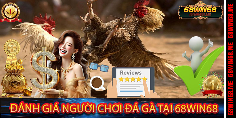 Đánh Giá Người Chơi Đá Gà Tại 68Win68